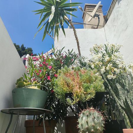 Appartement Historic Center Private Terrace à Málaga Extérieur photo